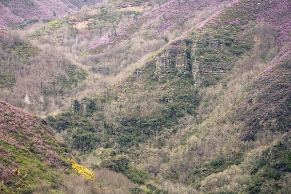 Comment mettre en place une politique de transfert de connaissances avant le départ à la retraite d'employés clés ?